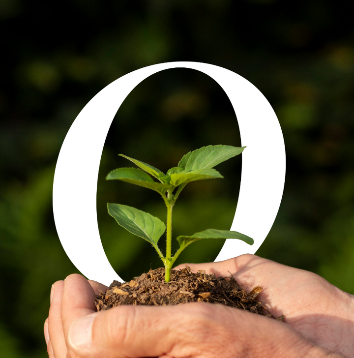 🌳 Refill to Reforest: How Every Clean Helps Plant a Tree